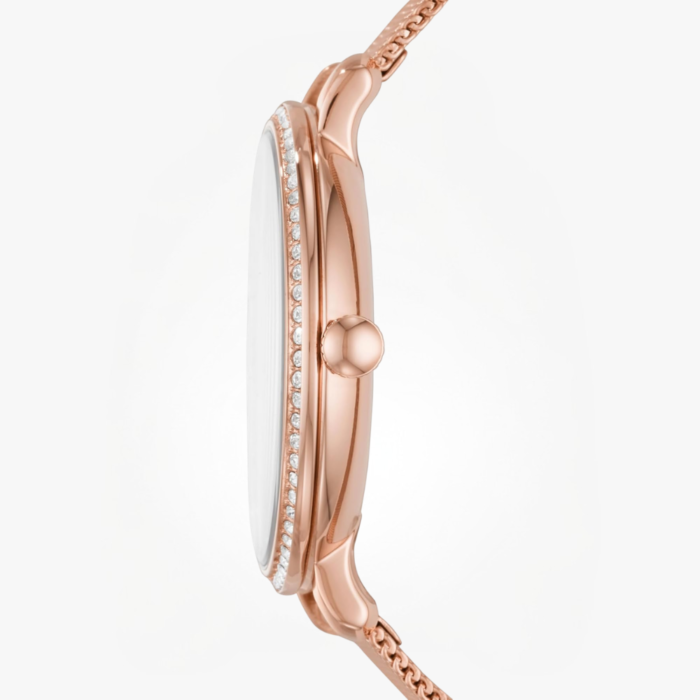 Untitled design (89)